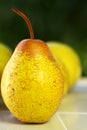 Mature rocha pear. Royalty Free Stock Photo