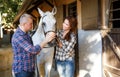 Mature smiling couple of farmers standing with white horse at stable Royalty Free Stock Photo