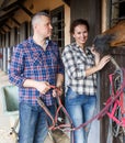 Mature smiling couple with girth feeding a horse at stable Royalty Free Stock Photo