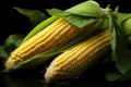 Mature and Sweet Corn Espiga and Isolated Royalty Free Stock Photo