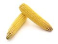 Mature sweet corn