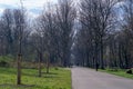 A tree lined avenue in an urban park at the start of spring