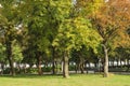 Mature trees in the park and green open space Royalty Free Stock Photo
