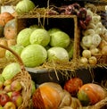 Mature vegetables. Gifts of fall. Pumpkins, cabbage, onions, apple. Background