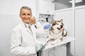 Mature vet looking at camera, while doctor observing dog.