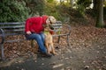 Mature woman with Alsatian dog In the park Royalty Free Stock Photo