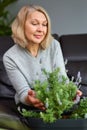 Mature woman caring home flowers.Flower plants at house