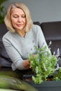 Mature woman caring home flowers.Flower plants at house