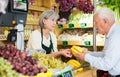 Woman cashier serving customer in greengrocer Royalty Free Stock Photo