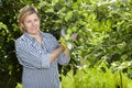 Mature woman check apple trees in her orchard Royalty Free Stock Photo