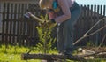 Mature woman chopping with ax