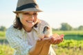 Mature woman farmer holding newborn chick in her hand Royalty Free Stock Photo