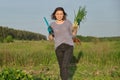 Mature woman farmer walking through the garden with green fresh chive onion Royalty Free Stock Photo