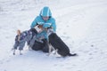 Mature woman feeding basenji and mixed breed dog while sitting on a snow