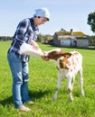 Woman feeds two week old calf from bottle with dummy at lawn Royalty Free Stock Photo