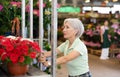Mature woman, flower shop owner pushing trolley rack with blooming petunias