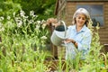 Mature Woman In Garden At Home Watering Vegetables In Raised Beds