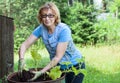 Mature woman gardening in her backyard, sets plants in steel barrel, Caucasian female in eyeglasses looking at camera