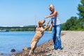 Mature woman with labrador riverside Royalty Free Stock Photo