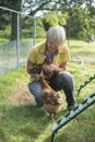 Mature woman playing with pet chickens outdoors in summer Royalty Free Stock Photo