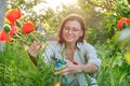 Mature woman in spring garden cutting bouquet of red poppies Royalty Free Stock Photo
