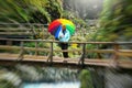 Mature woman standing on a wooden bridge with colorful umbrella on a sunny autumn day