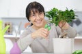 Mature woman trimming bonsai tree Royalty Free Stock Photo