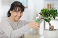 Mature woman trimming bonsai tree Royalty Free Stock Photo