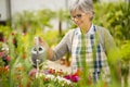 Mature woman watering flowers