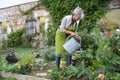 Mature woman watering flowers in garden Royalty Free Stock Photo