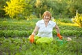 Mature woman working in vegetable garden Royalty Free Stock Photo