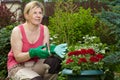 Mature woman works in her garden Royalty Free Stock Photo