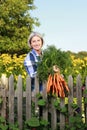 Matured farm woman with carrots