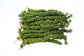 Matured green peppercorn stalks Royalty Free Stock Photo