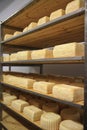 Maturing cheese storehouse Royalty Free Stock Photo