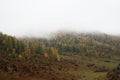 Matutinal mist by autumn in mountain landscape