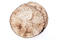 Matzah Shmurah. Jewish traditional Passover bread. Pesach celebration symbol. Closeup