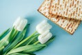 Matzo and white tulips on a blue background. Religious Jewish holiday Pesach. Happy Passover concept. Royalty Free Stock Photo