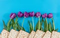 Matzos and flowers on the blue background Royalty Free Stock Photo