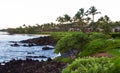 Maui Coast View