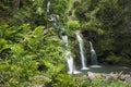 Maui Rain Forest Waterfalls Along Hana Trail