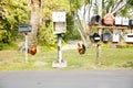 Maui rural mailboxes and wild chickens