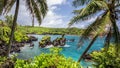 Maui's Black Sand Beach Royalty Free Stock Photo