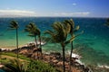 Maui trade winds