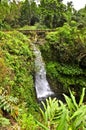 Maui Waterfall and Bridge