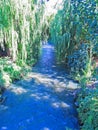 Maule river as it passes through the city of Talca, Chile Royalty Free Stock Photo