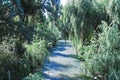 Maule river, Chile