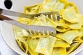 Maultasche pasta Royalty Free Stock Photo