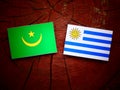 Mauritania flag with Uruguaian flag on a tree stump isolated Royalty Free Stock Photo