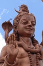 Hindu Temple, Sacred Grand Bassin lake, Detail of the statue of Shiva Royalty Free Stock Photo